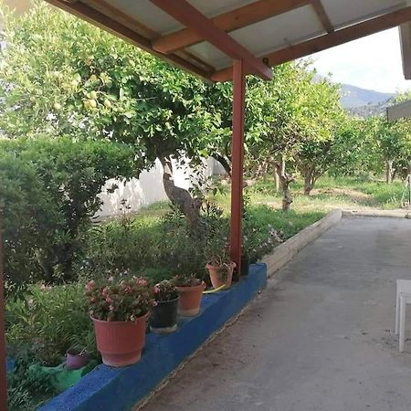 Angela'S Place - Stomio Residence Near The Sea Stomion  Εξωτερικό φωτογραφία