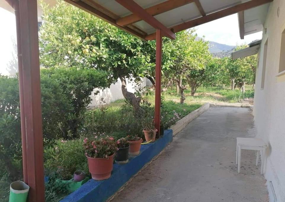 Angela'S Place - Stomio Residence Near The Sea Stomion  Εξωτερικό φωτογραφία